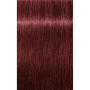 Igora Royal 6-88 60ml 1