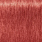 Igora Royal 0-88 60ml 1